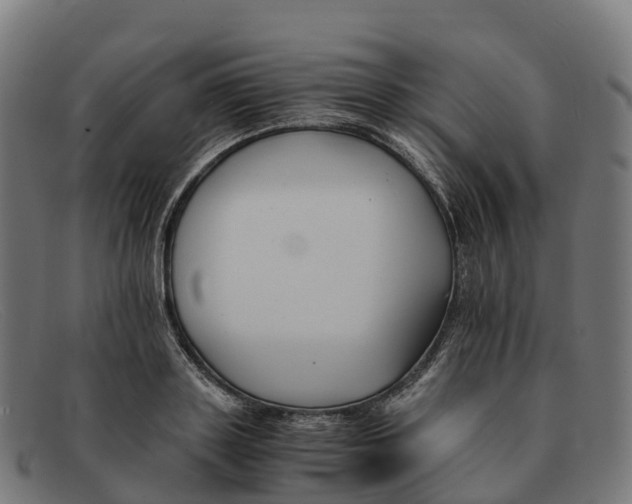 X0000091660843200709131508