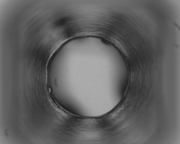 X0000091660844200709131508