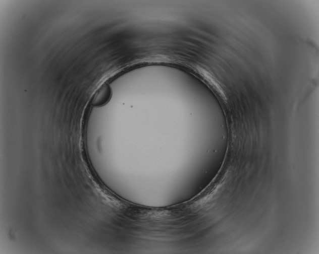 X0000091660845200709131508