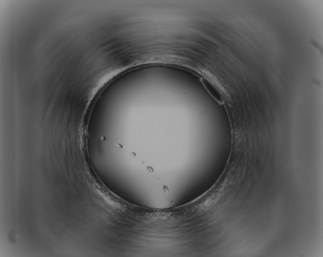 X0000091660846200709131508