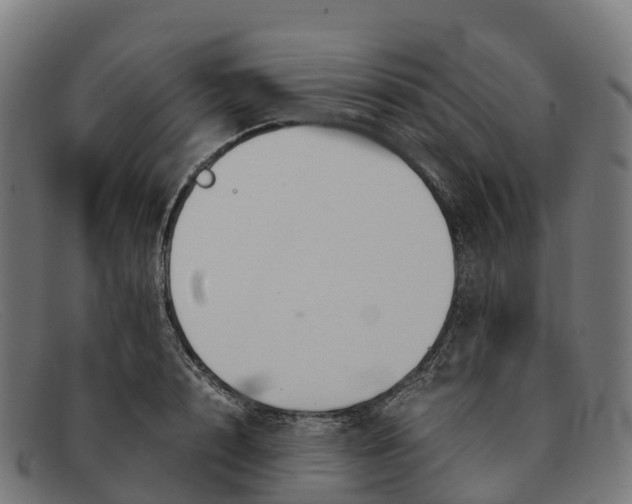 X0000091660848200709131508