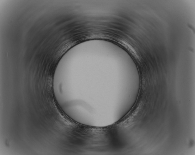 X0000091660849200709131508