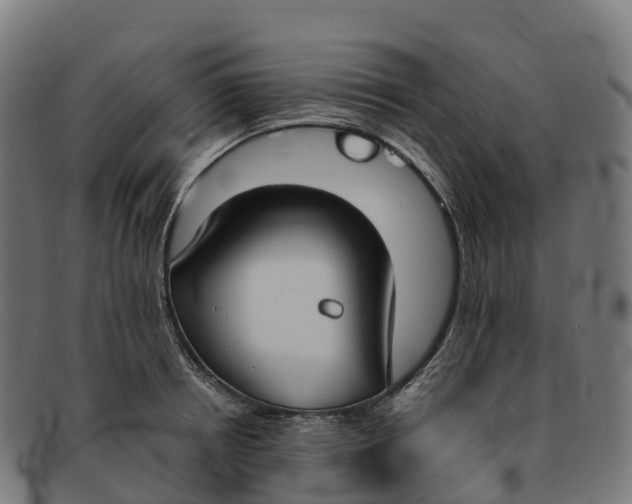 X0000091660850200709131508