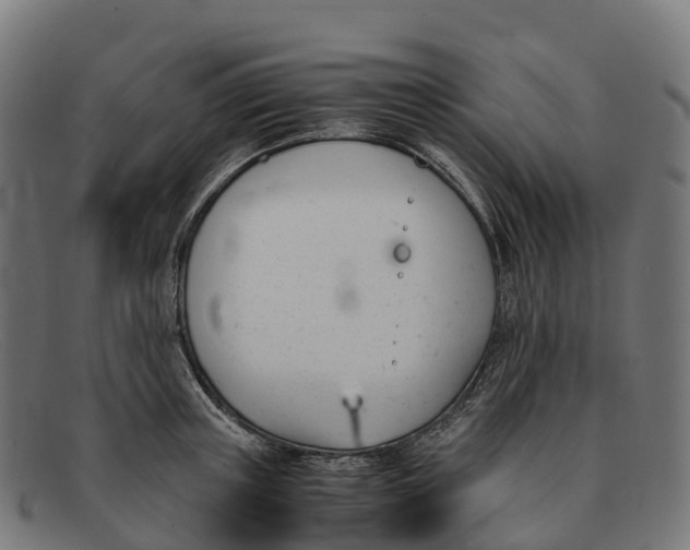 X0000091660851200709131508