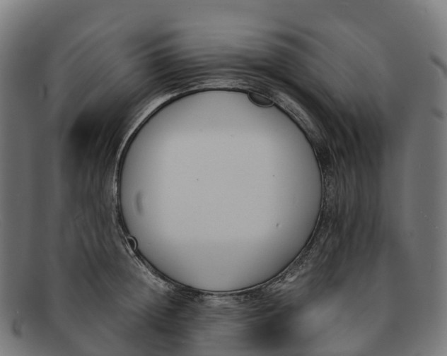 X0000091660852200709131508