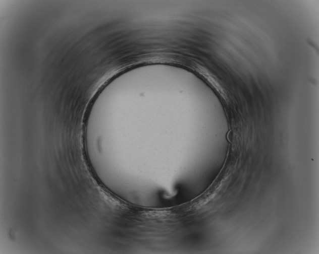 X0000091660853200709131508