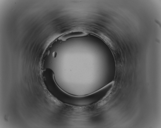 X0000091660854200709131509