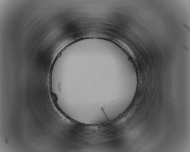 X0000091660855200709131509