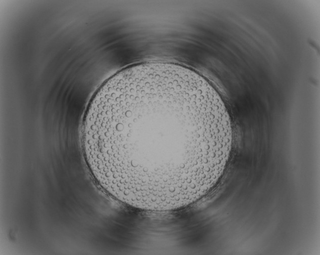 X0000091660856200709131509