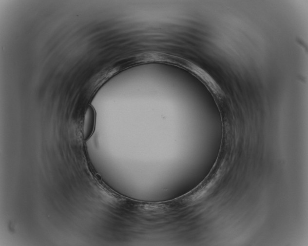 X0000091660857200709131509