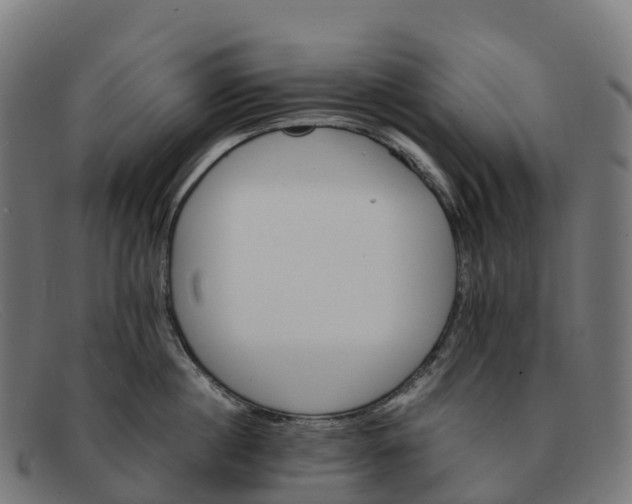 X0000091660860200709131509