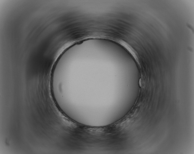 X0000091660861200709131509