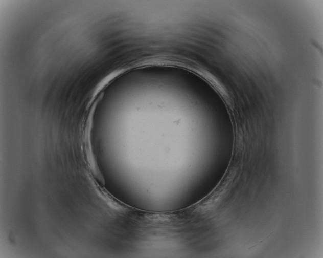 X0000091660862200709131509