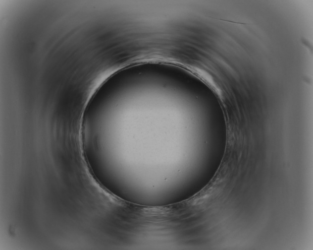 X0000091660863200709131509