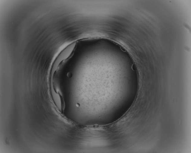 X0000091660864200709131509