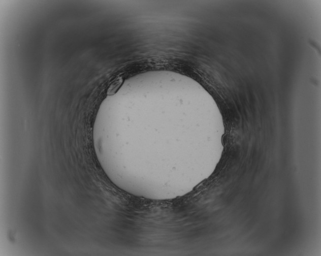 X0000091660865200709131508