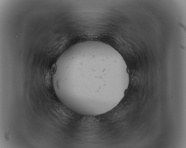 X0000091660866200709131508