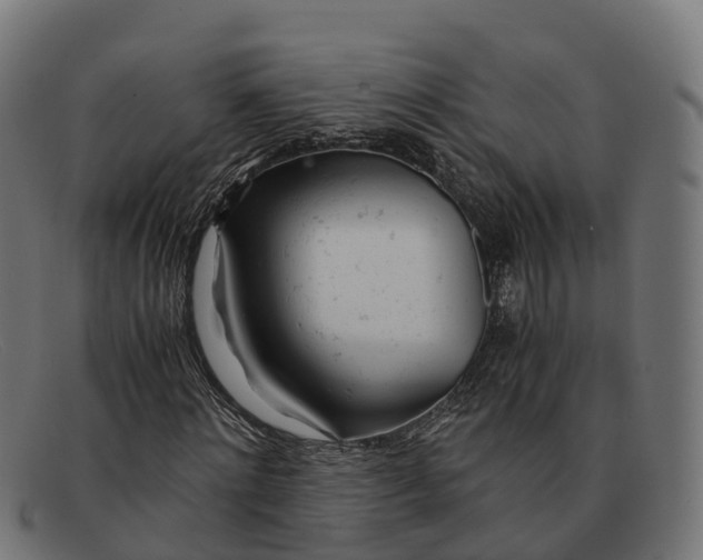 X0000091660868200709131508