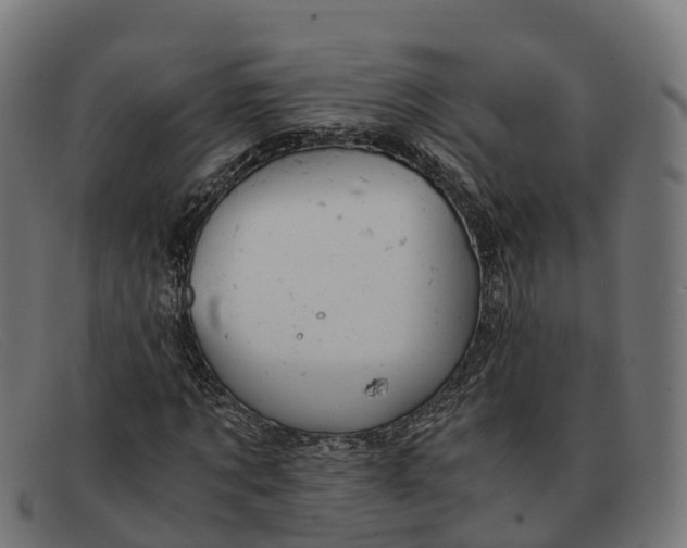 X0000091660869200709131508