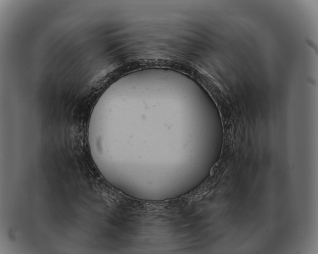 X0000091660870200709131508