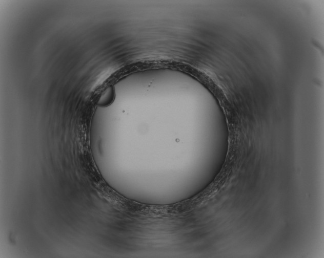 X0000091660871200709131508