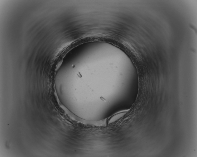 X0000091660872200709131508