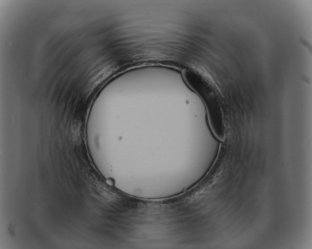 X0000091660873200709131508