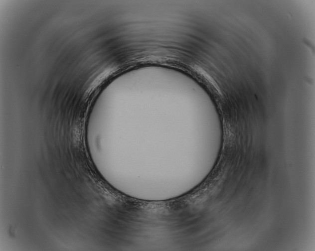 X0000091660874200709131508