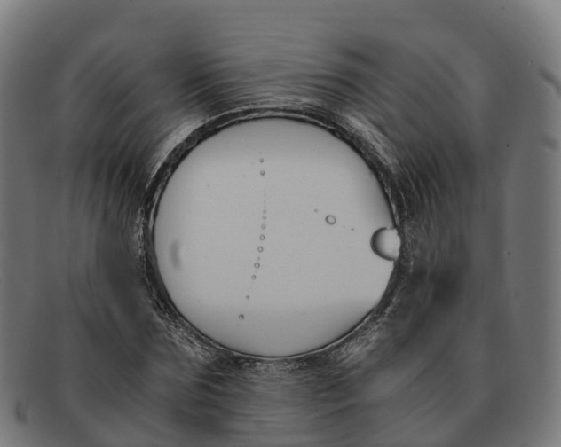 X0000091660875200709131508