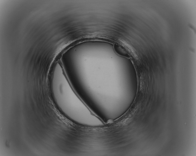 X0000091660876200709131508