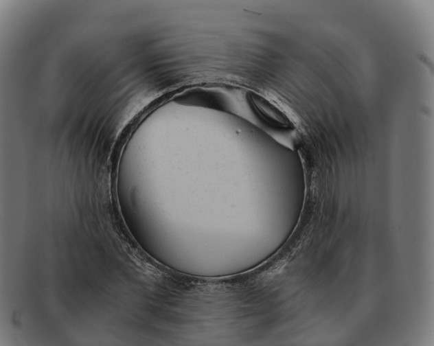 X0000091660877200709131508