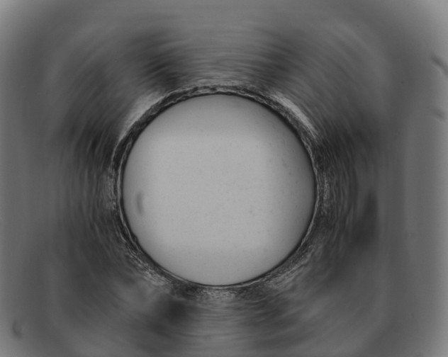 X0000091660878200709131508