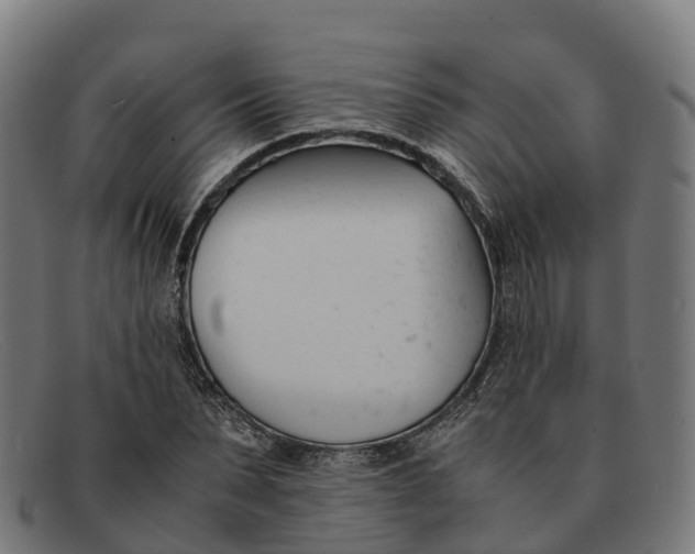 X0000091660879200709131508