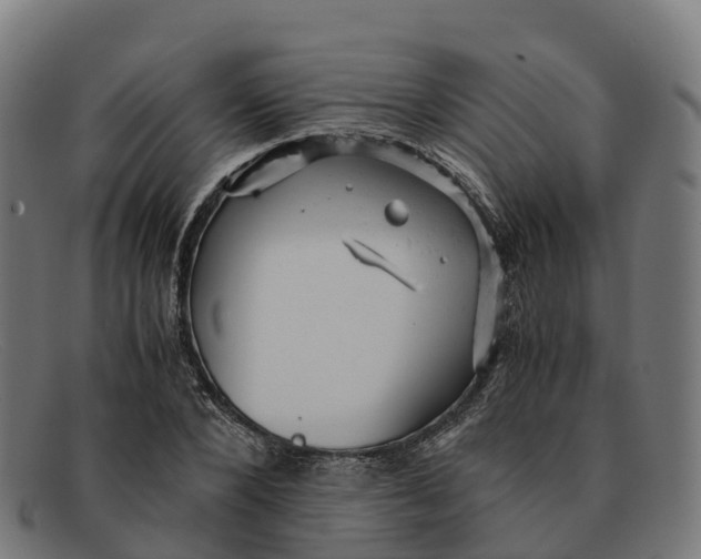 X0000091660880200709131508