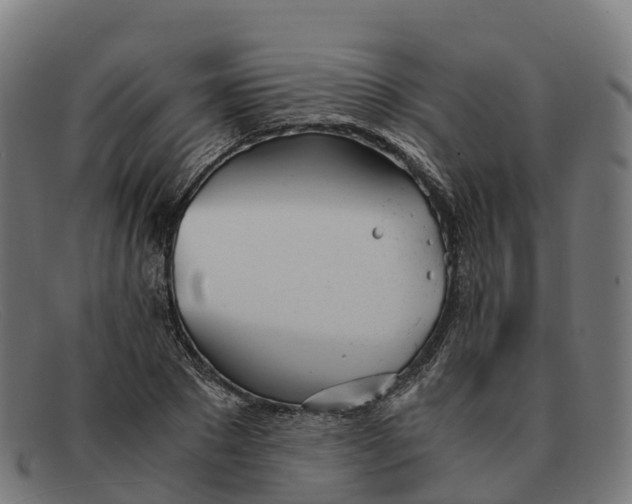 X0000091660881200709131508