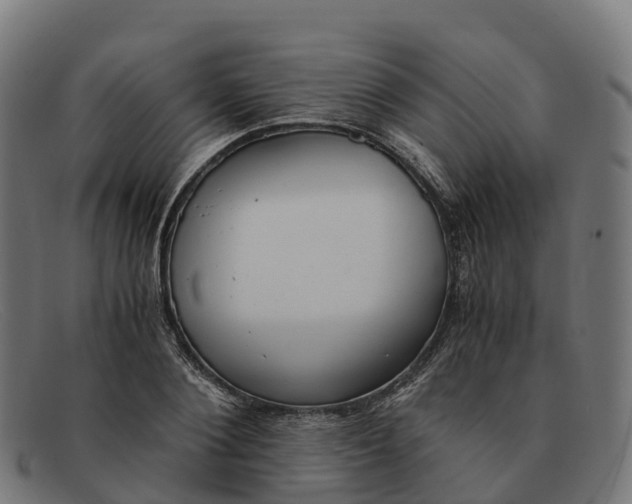 X0000091660884200709131508