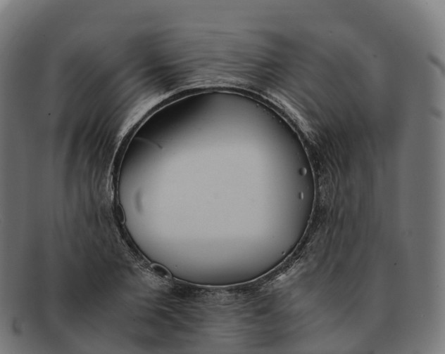 X0000091660885200709131508