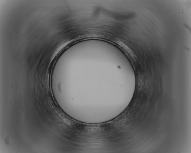 X0000091660886200709131508