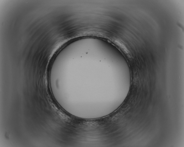 X0000091660888200709131508