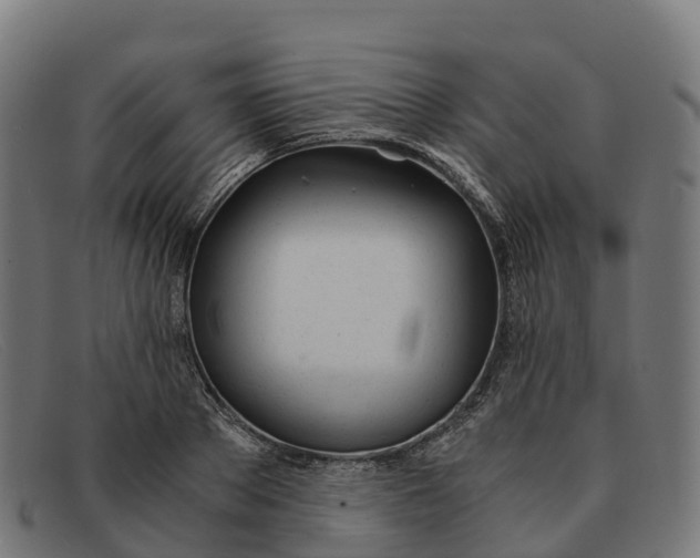 X0000091660889200709131508