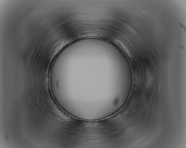 X0000091660890200709131508