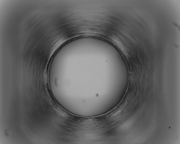 X0000091660891200709131508