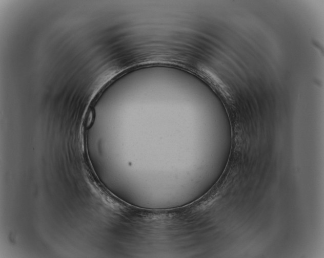 X0000091660892200709131508