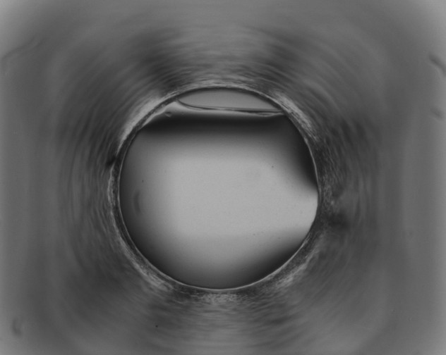 X0000091660893200709131508