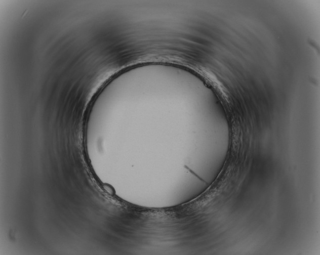 X0000091660896200709131508