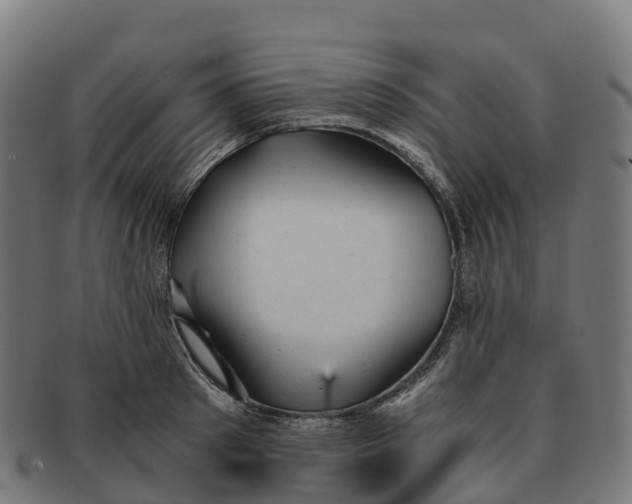 X0000091660897200709131508