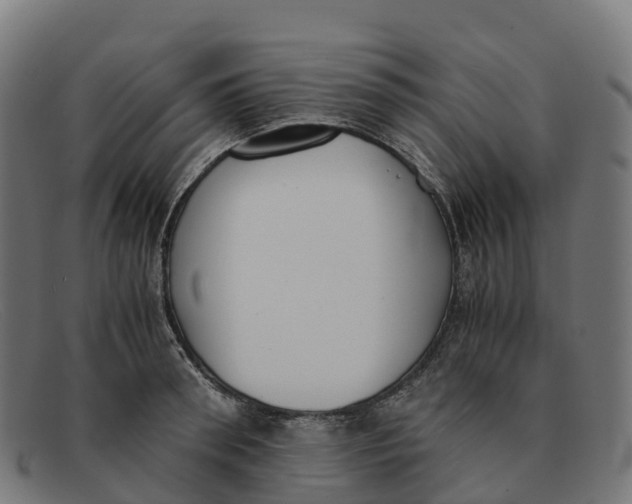 X0000091660898200709131507