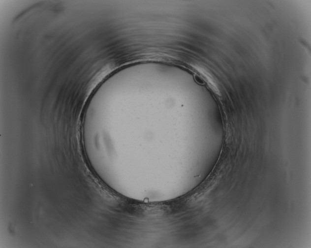 X0000091660899200709131507