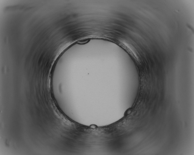 X0000091660900200709131507