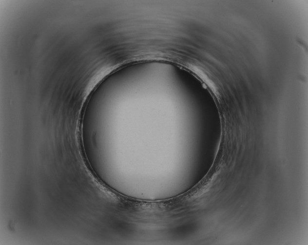 X0000091660901200709131507